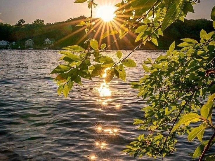 🌸 Доброе утро!