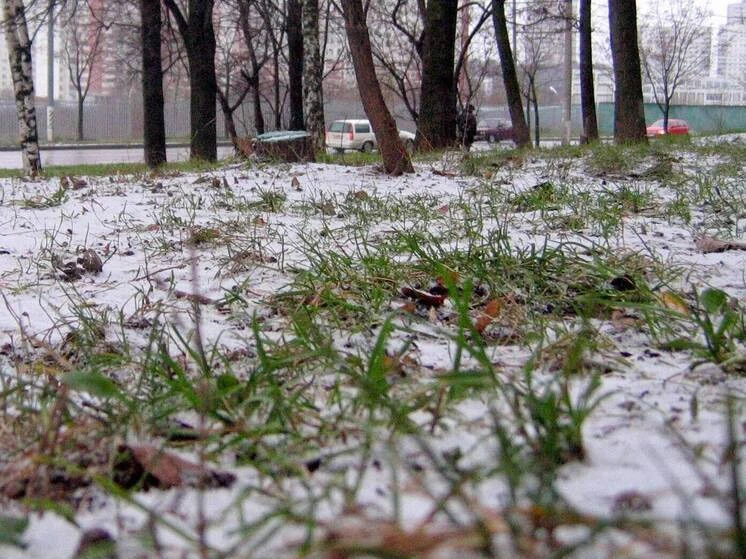 ❄️Эксперт рассказал, как разные народы готовятся к холодам
