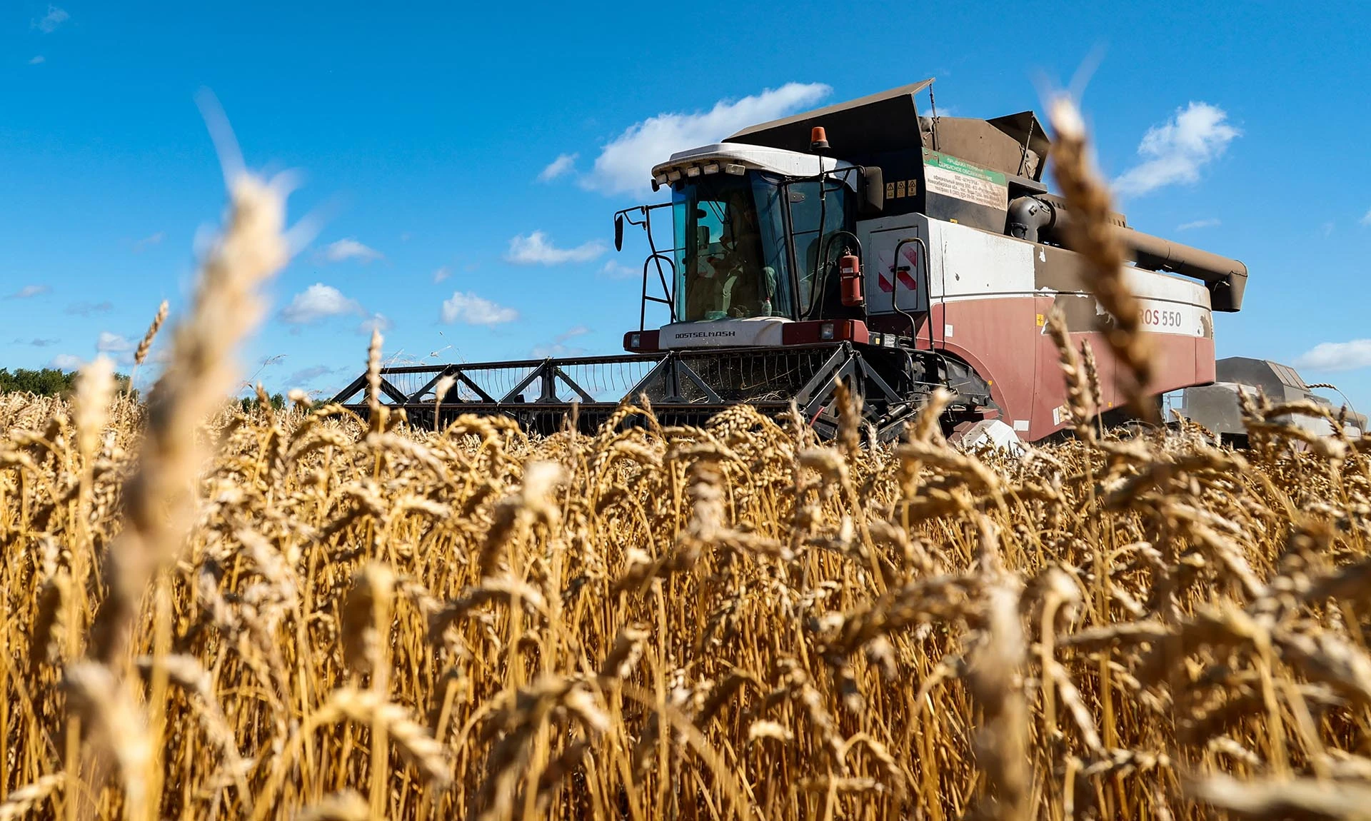 🌾 С 2027 года аграрии Херсонщины смогут страховать урожай с господдержкой