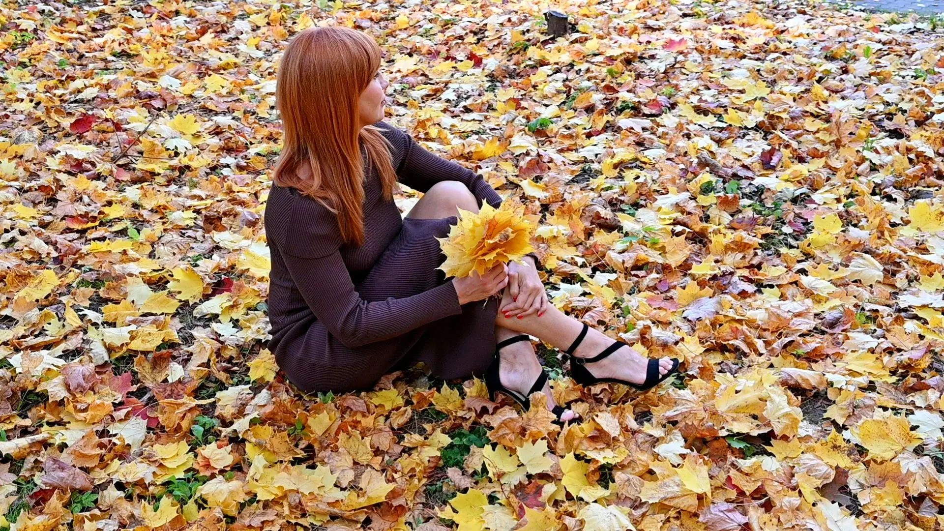 Осень — не время для грусти. Время перезагрузки! 🍂