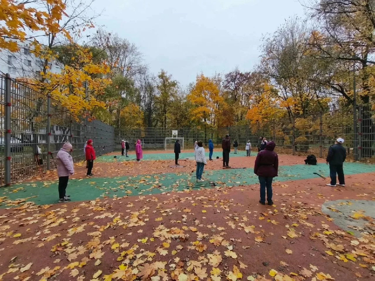 🏃 В Новых Черёмушках устроили осеннюю зарядку