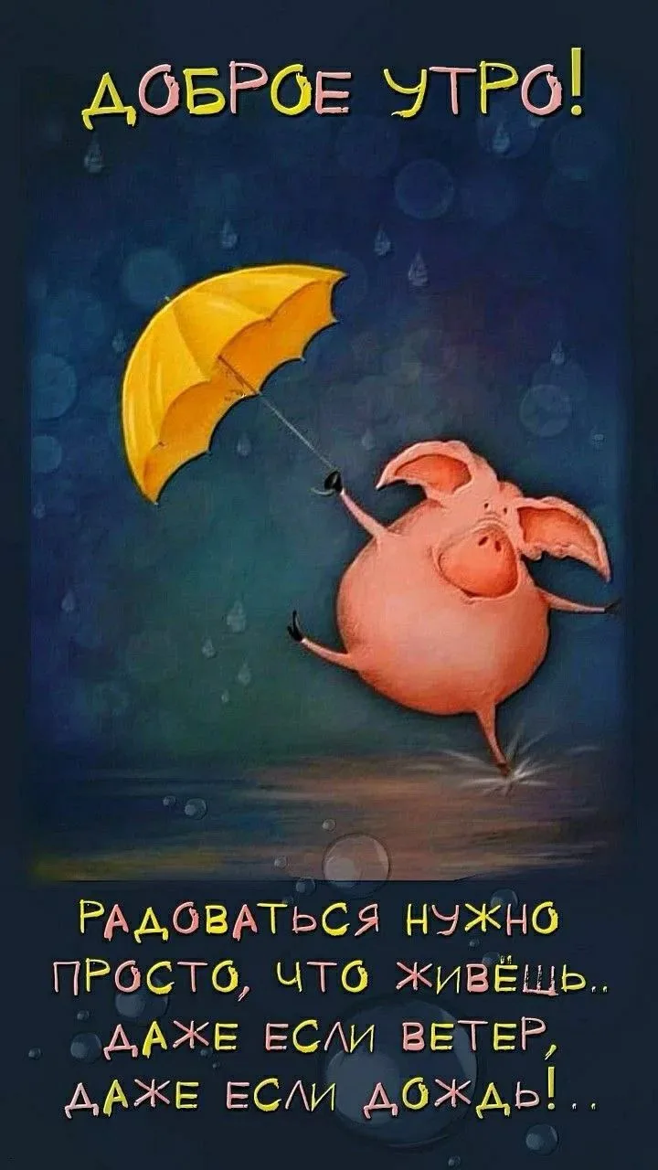 🌂☔🌧