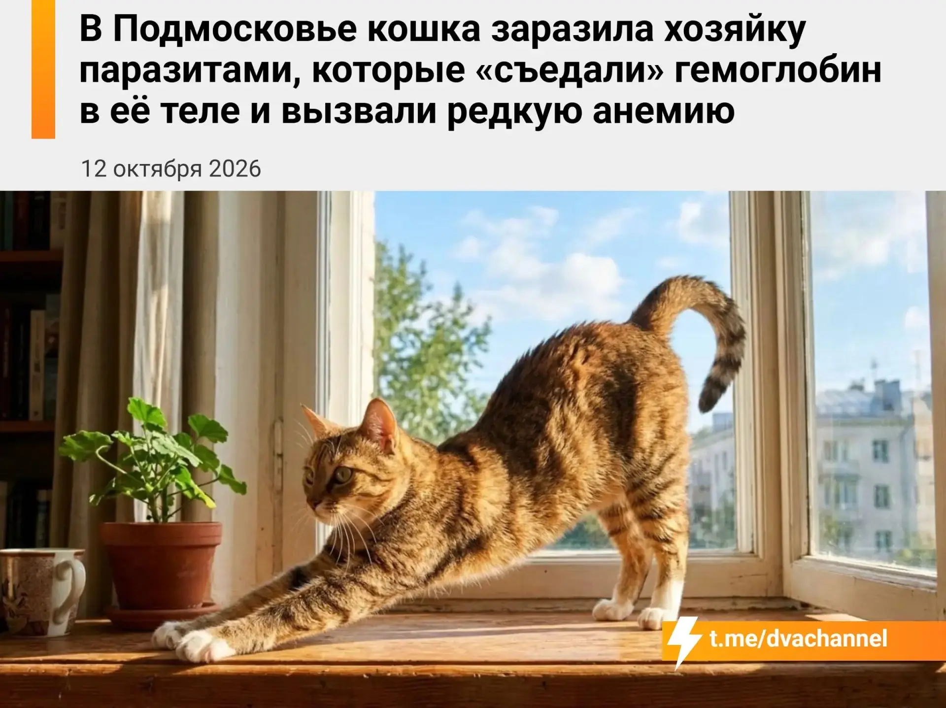 Проверьтесь