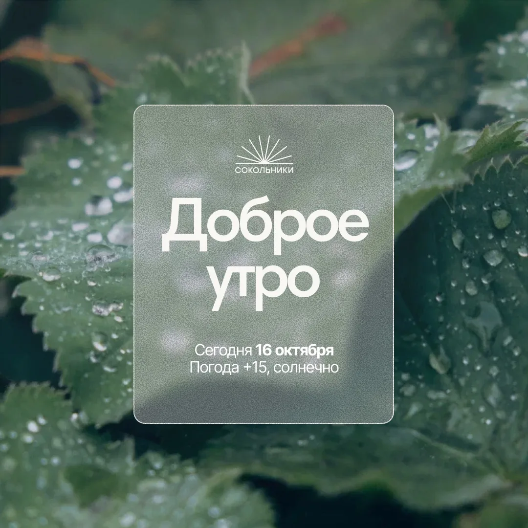 Доброе утро!