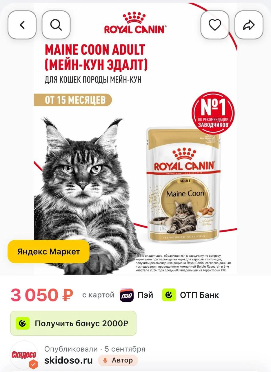 🔥Влажный корм для кошек Royal Canin Adult для породы мейн кун кусочки в соусе, 28 шт п...