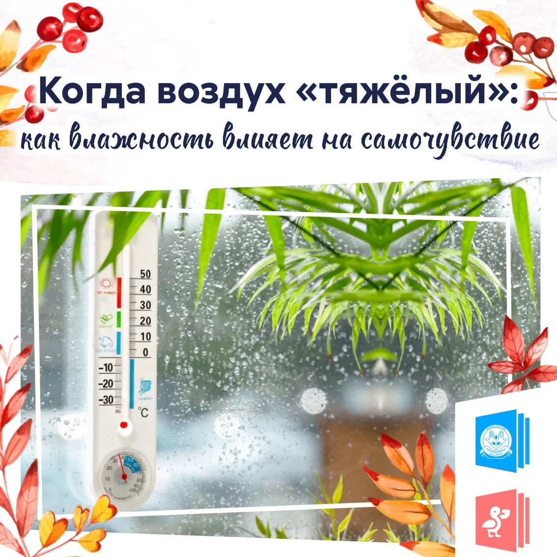 Когда воздух «тяжёлый»: как влажность влияет на самочувствие