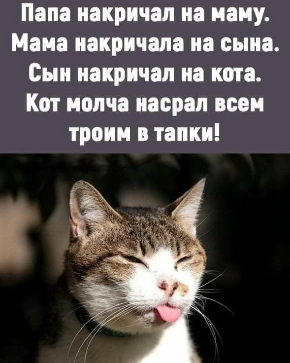 #ЮМОР