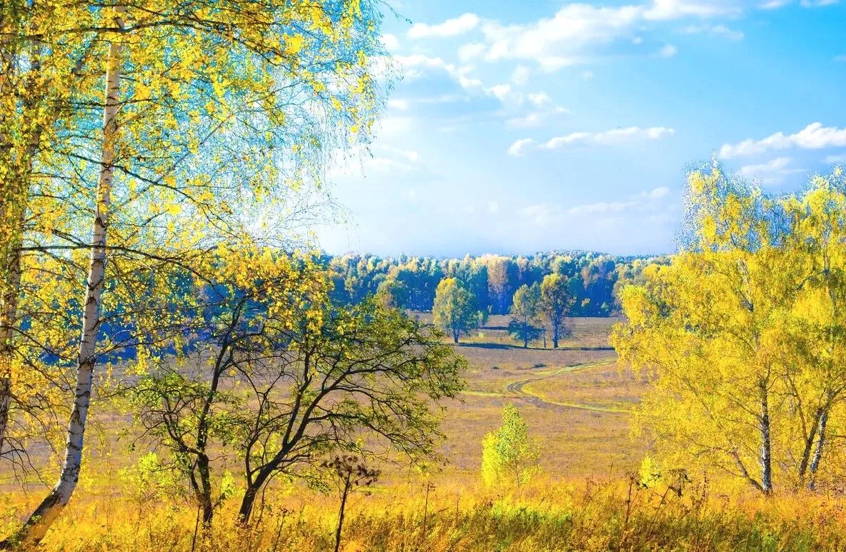 Поэзия сердца и смысла
