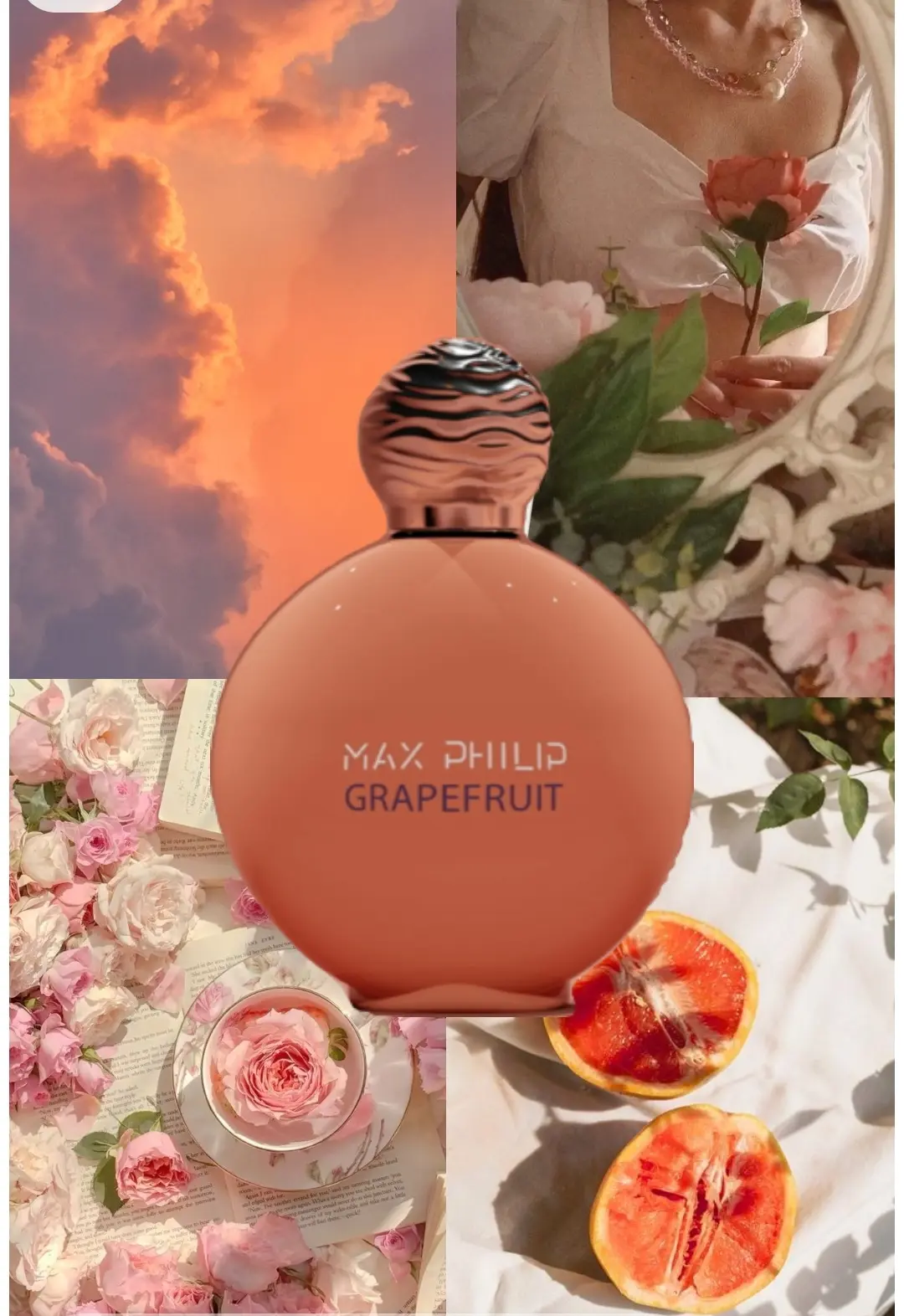 Max Philip Grapefruit