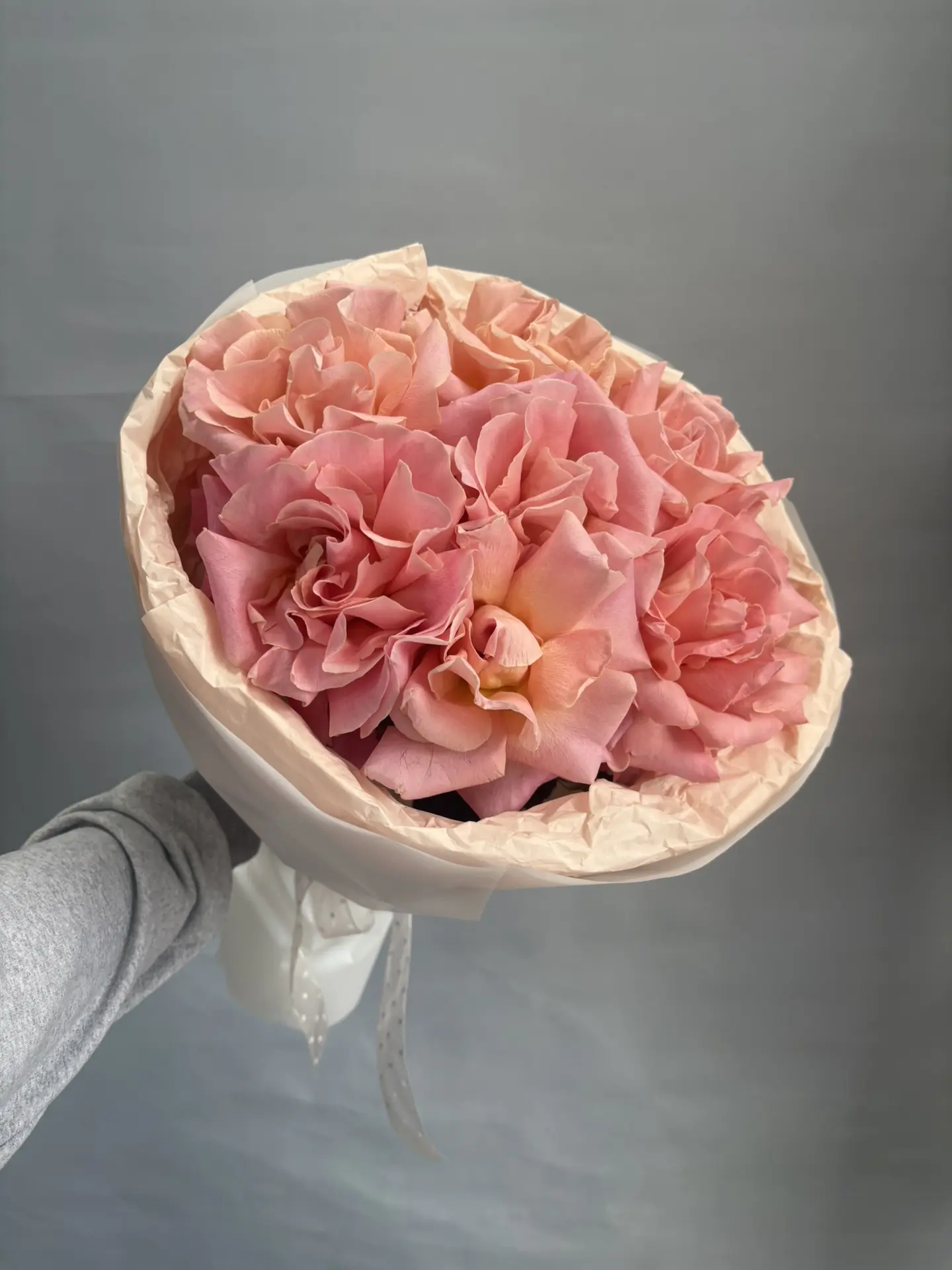 Новинка — роза Эрмоза «Французская» 🌸