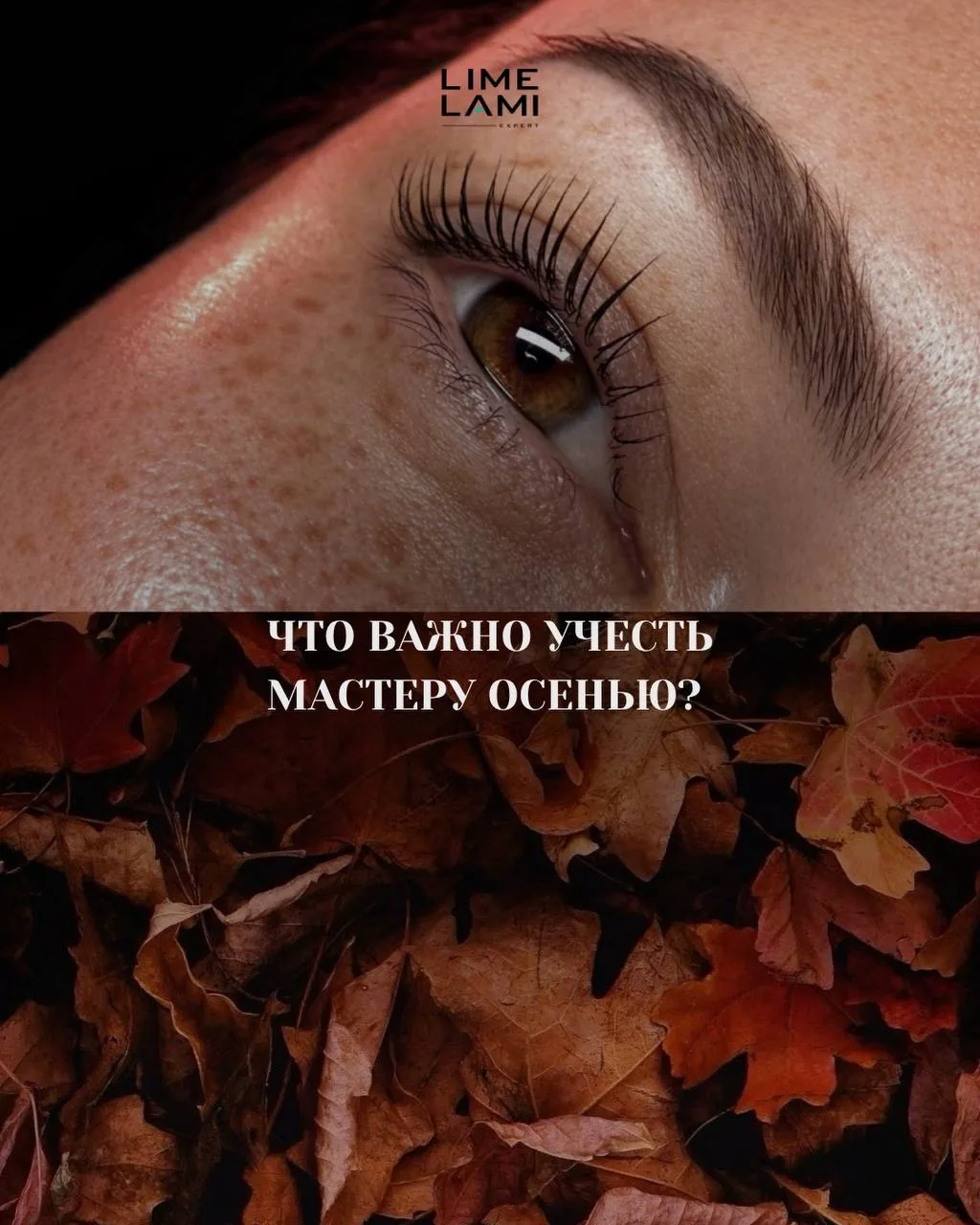 Что важно учесть мастеру осенью?