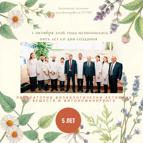 🎉 Пять лет — молодым, смелым, перспективным!