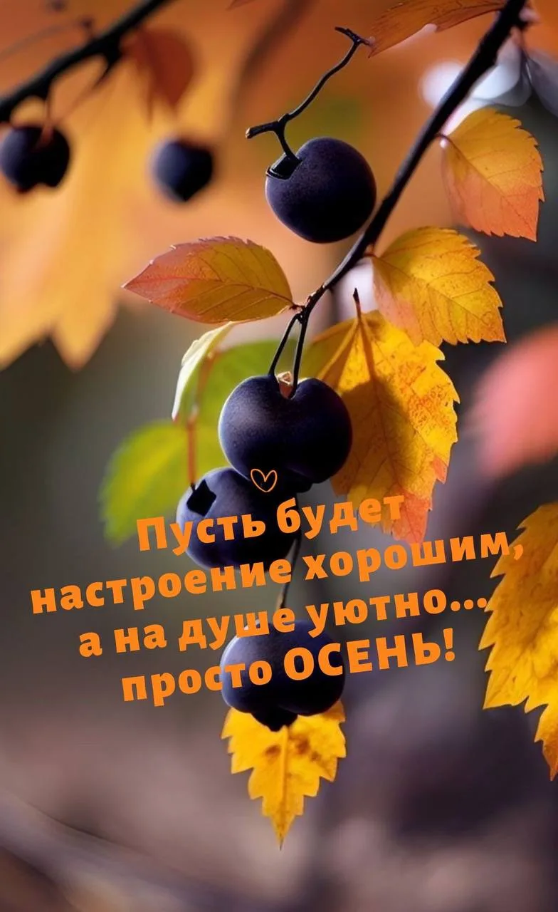 Женские открытки💝