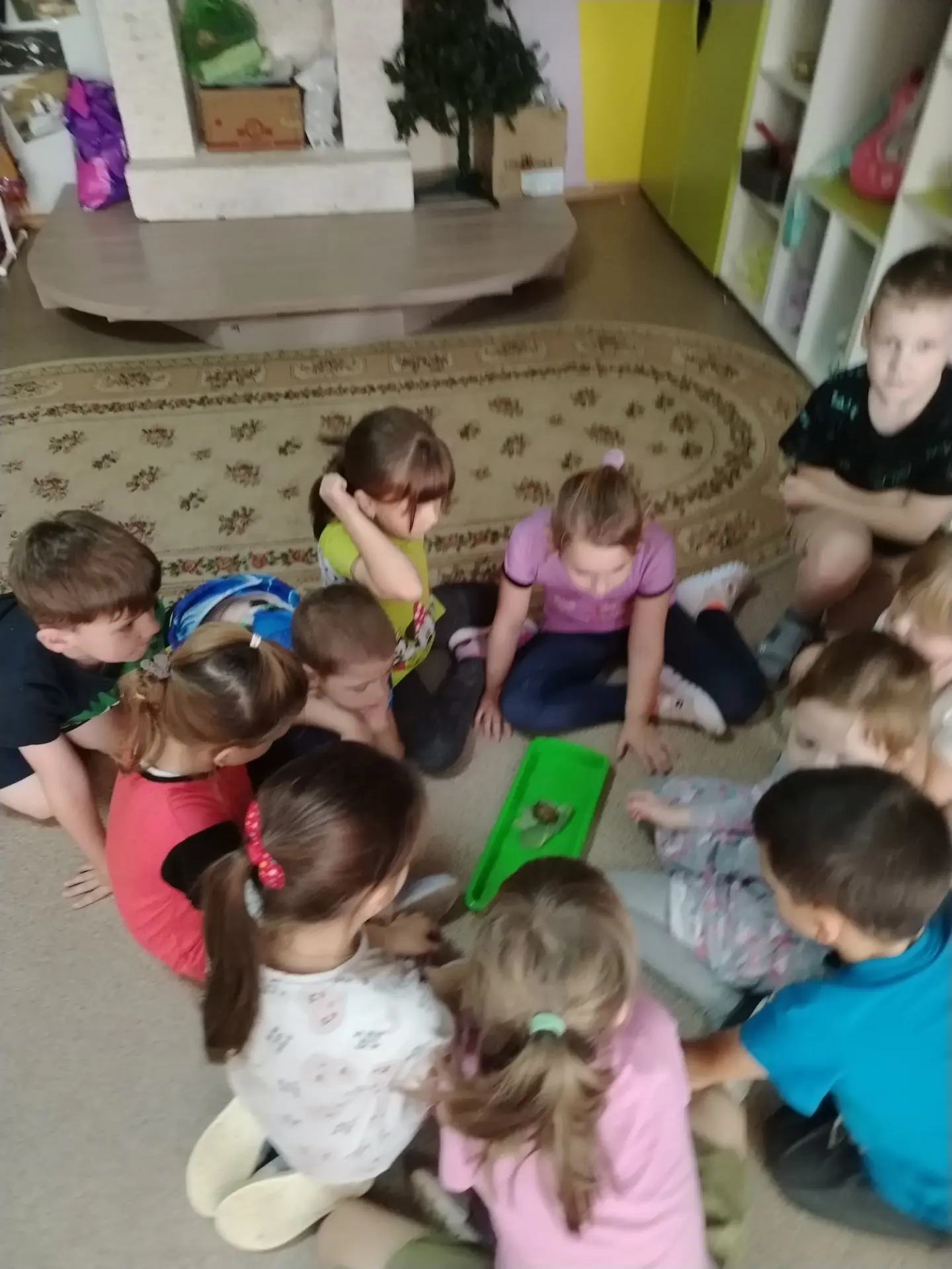 У нас в группе появился новый маленький житель — наш друг улитка! 🐌❤️ Она такая медлит...
