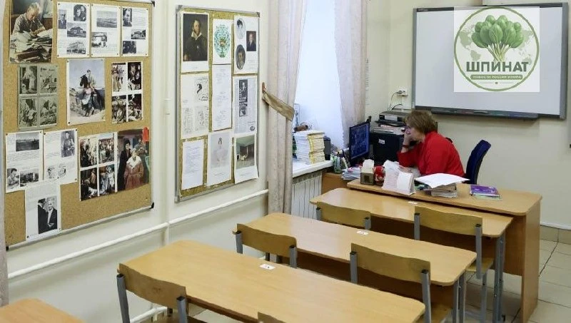 Власти Воронежской области попросили прекратить привлекать учителей к патрулированию ул...