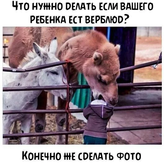 😂😂😂