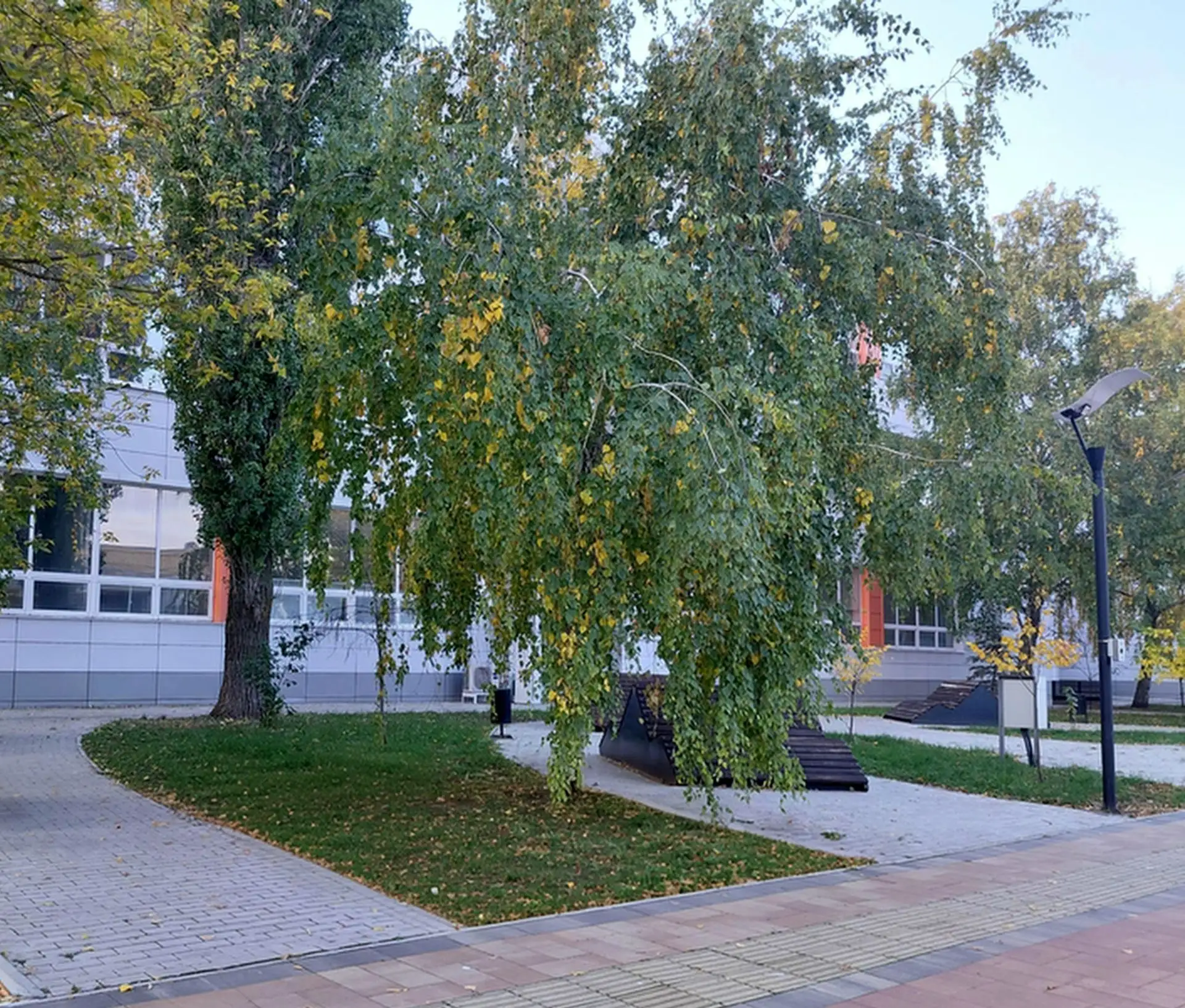 🌥️ Доброе утро, Ершов! Сегодня 16 октября, пятница.