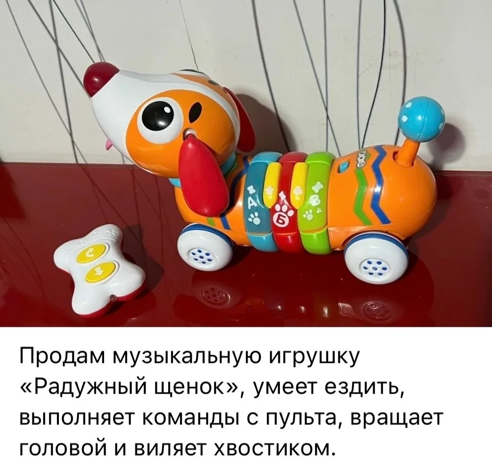👤 Светлана Шитова