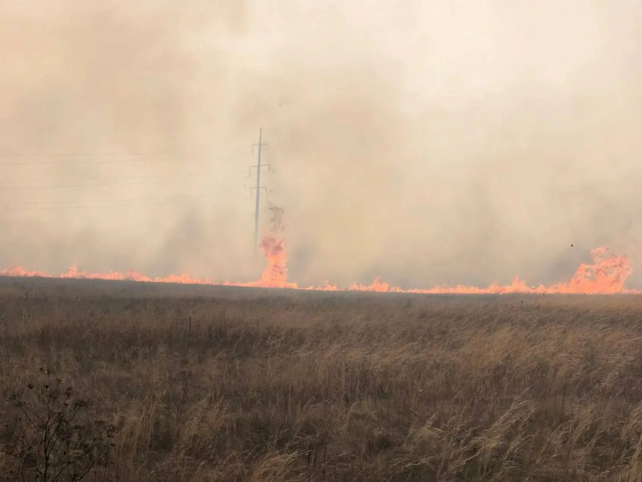 ​🔥 Сильный лесной пожар разгорелся в Карталинском округе