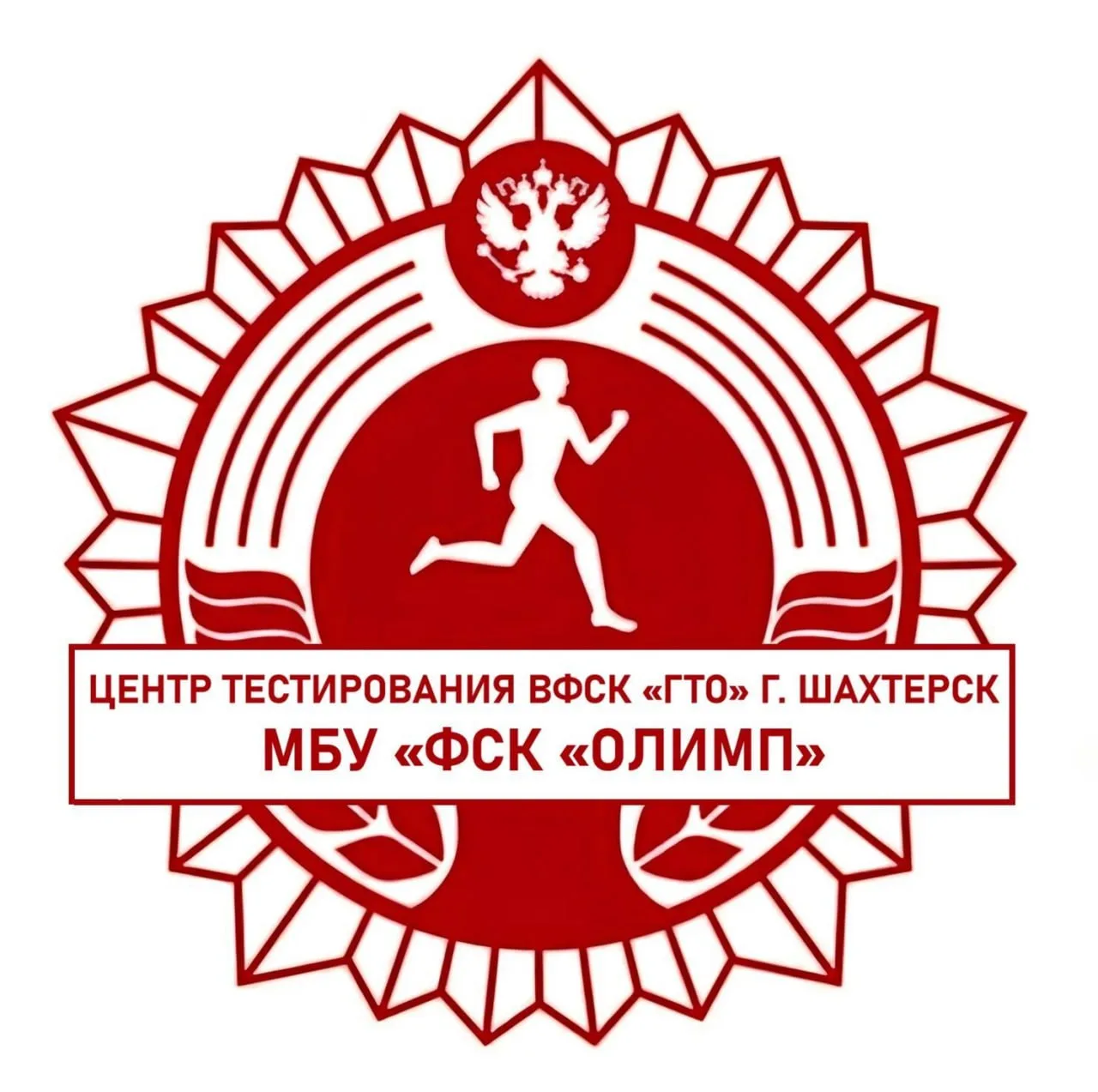 В Шахтерске запущен центр тестирования нормативов ГТО