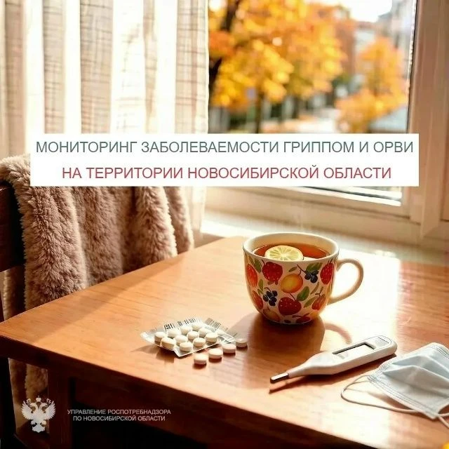 На территории Новосибирской области за 41-ю неделю (с 5.10.2026 по 11.10.2026) отмечает...
