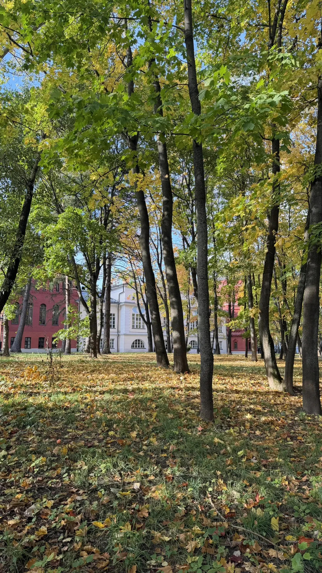 Какая же осень красивая 🍂.