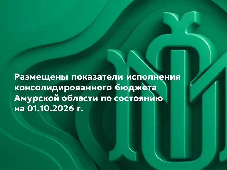 За девять месяцев 2026 года доходы консолидированного бюджета области составили 131,4 м...