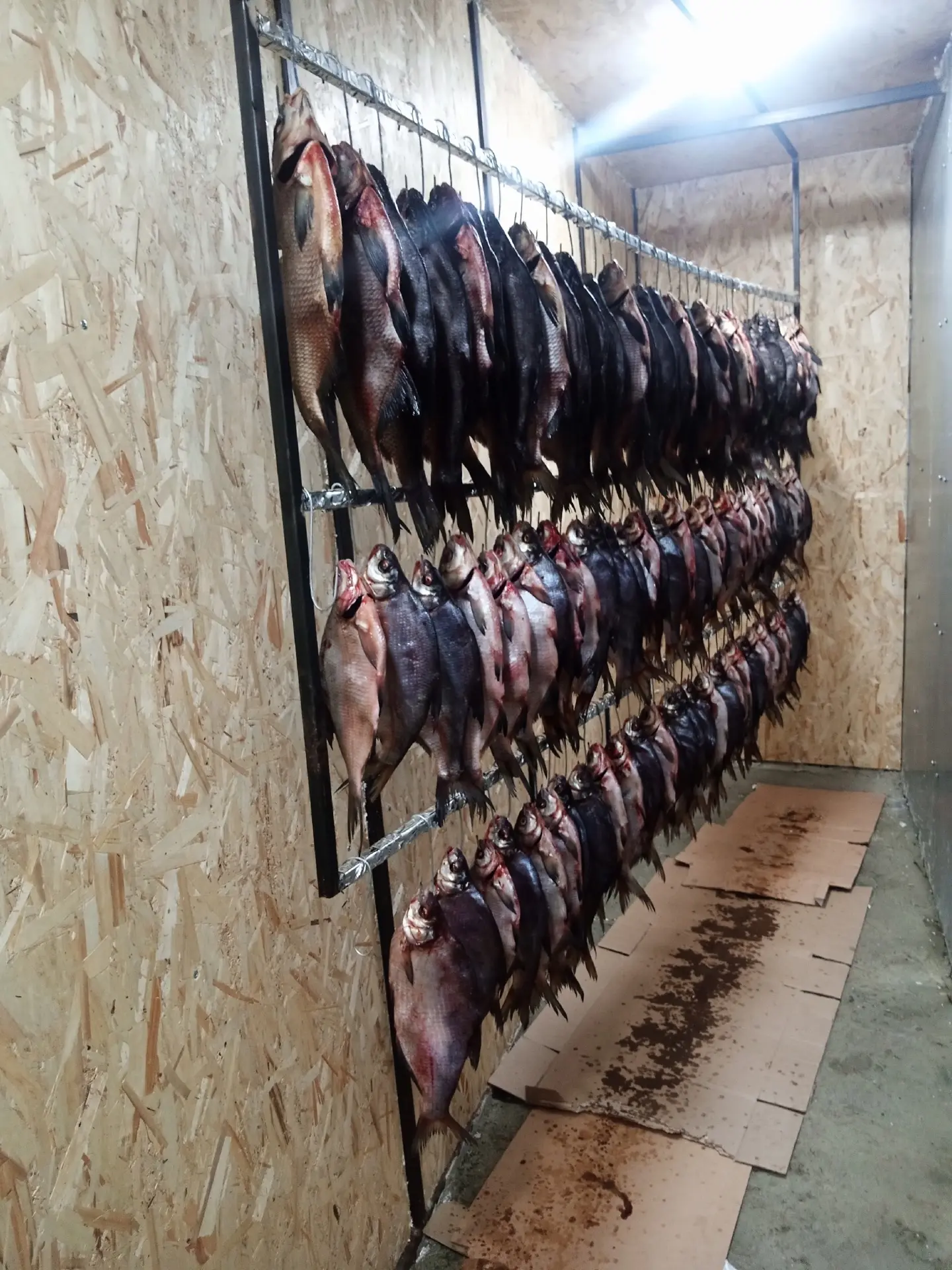 Всем добра. В продаже жирный мало сольный Цимлянский лещ. В этой партии без икры, так к...