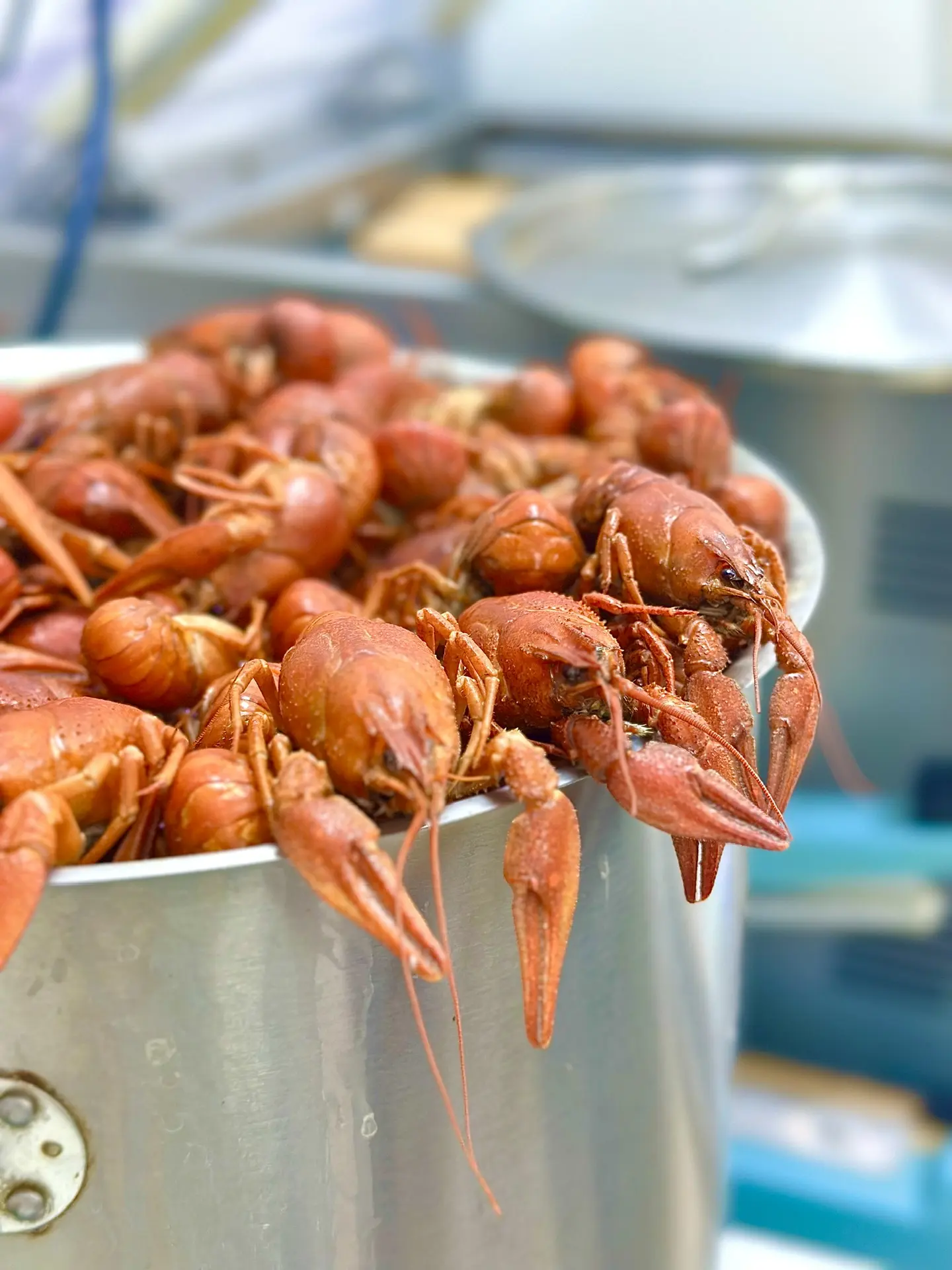 ФИРМЕННЫЕ РАКИ ГОТОВЫ‼️🦞
