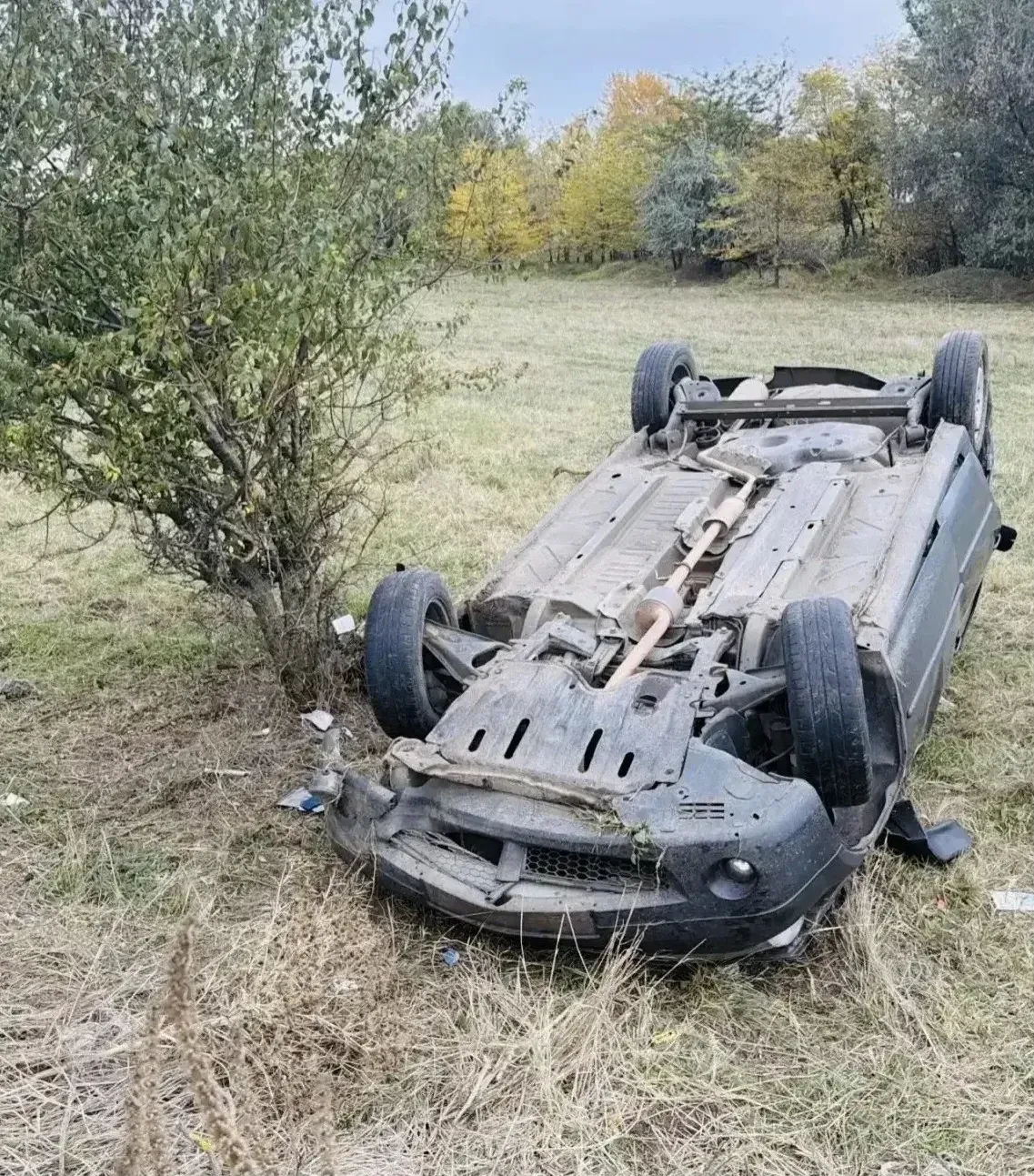 ⚠️ В Новоалександровском округе водитель Renault погиб после съезда с дороги
