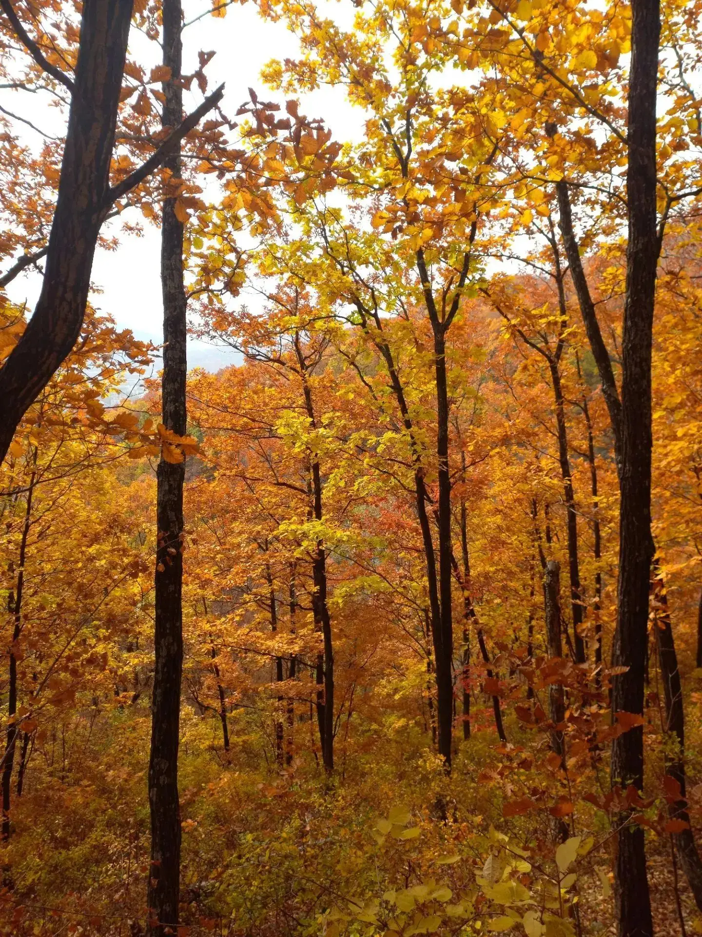 Доброе утро  🍂 Пусть этот понедельник станет стартом для отличных событий, продуктивны...