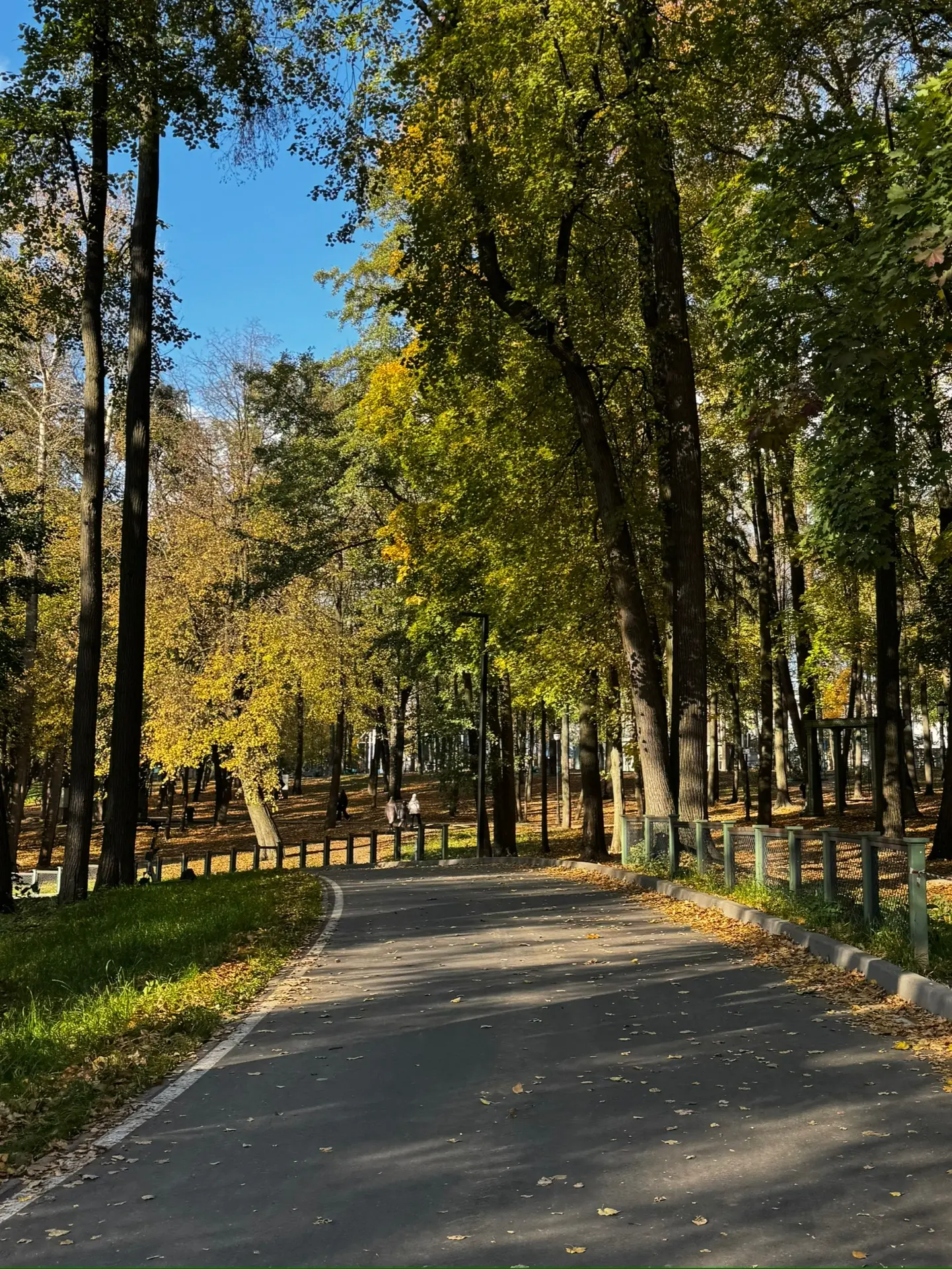 🍁ЧЕТВЕРГ🍁