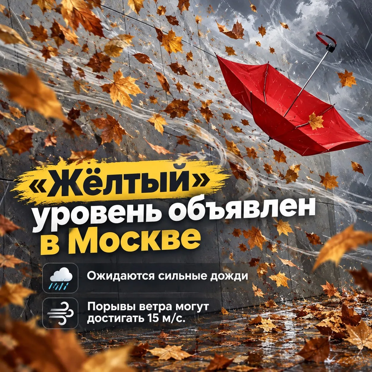 Похоже, бабье лето отменяется 😔