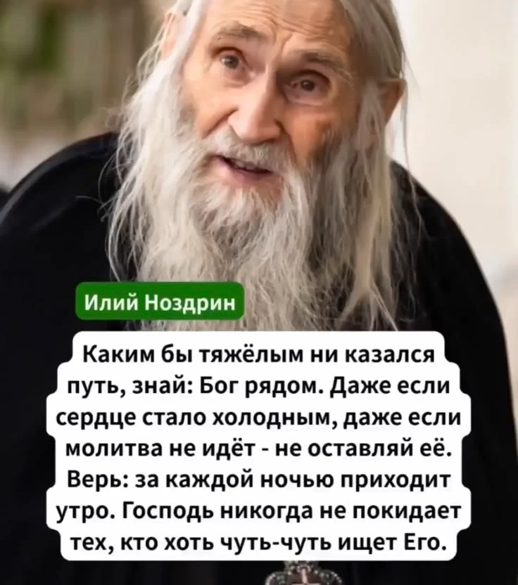 🤍🕊️💗
