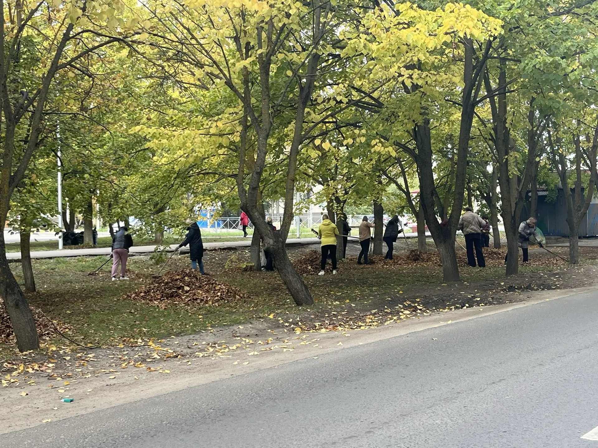 Балашовцы принимают участие в региональном месячнике по благоустройству 🍃