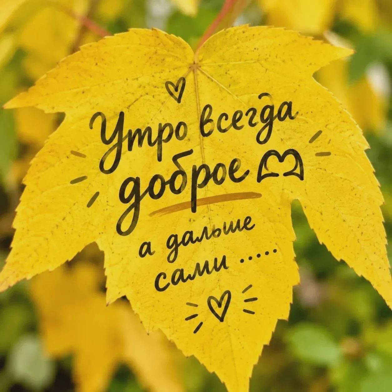 Что отмечают 16 октября