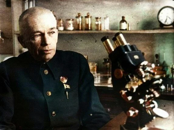 Гравидан