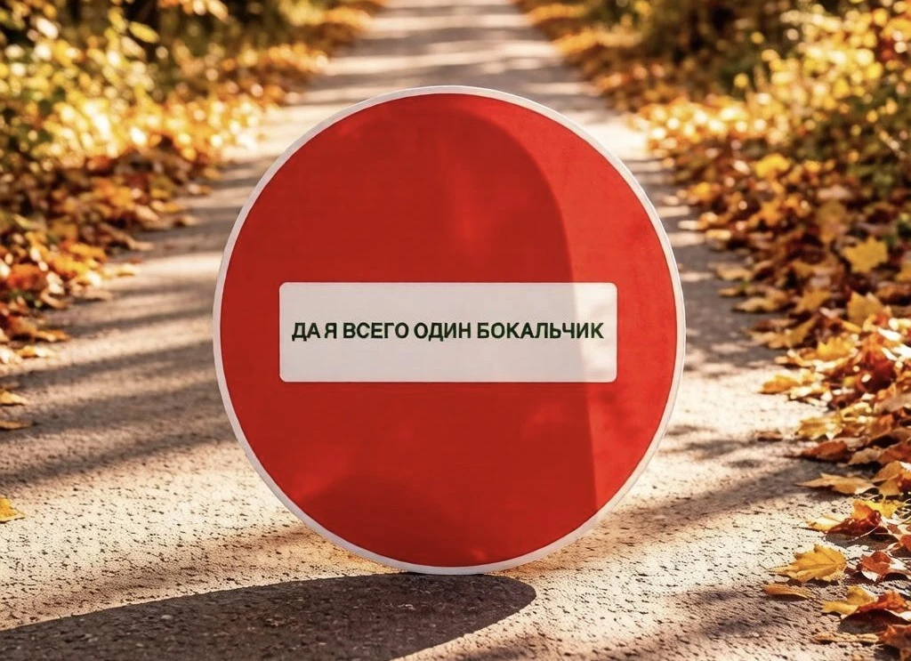 🍷😵‍💫«А по мне видно, что я пьяный?»Популярные фразы, после которых точно нельзя пуск...