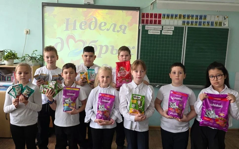 Учащиеся 2 "Б" класса приняли участие в "Осенней неделе добра"