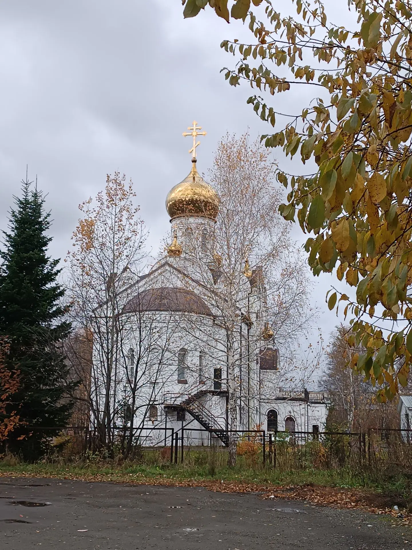 Ездили за порцией красоты и в гости к белке- налетчице. Каждый раз как приходим в парк ...