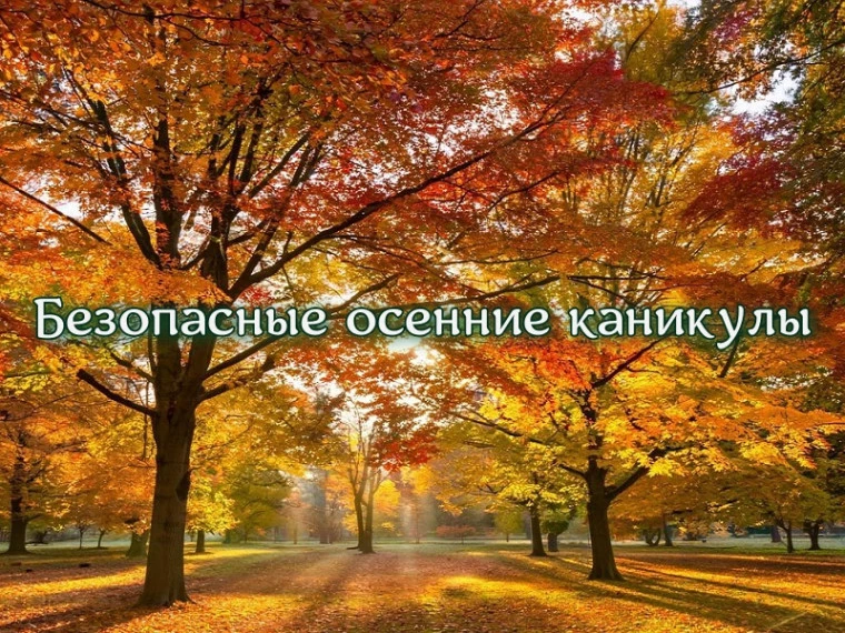 Правила  поведения для обучающихся об охране жизни и здоровья на период осенних каникул: