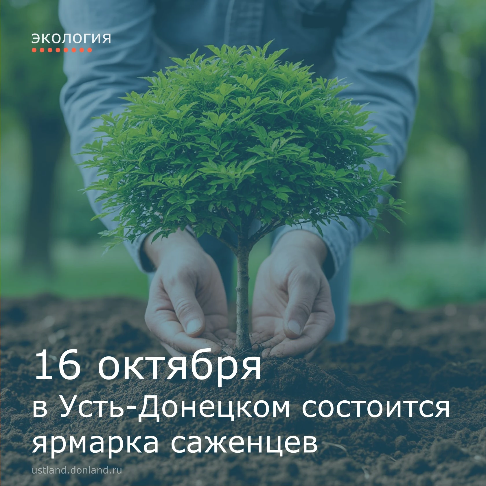 В преддверии проведения областного Дня древонасаждений, 16 октября в поселке Усть-Донец...