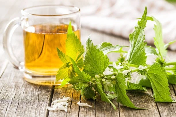 🌿 Крапива и натуральные настои: старинные рецепты для общего тонуса