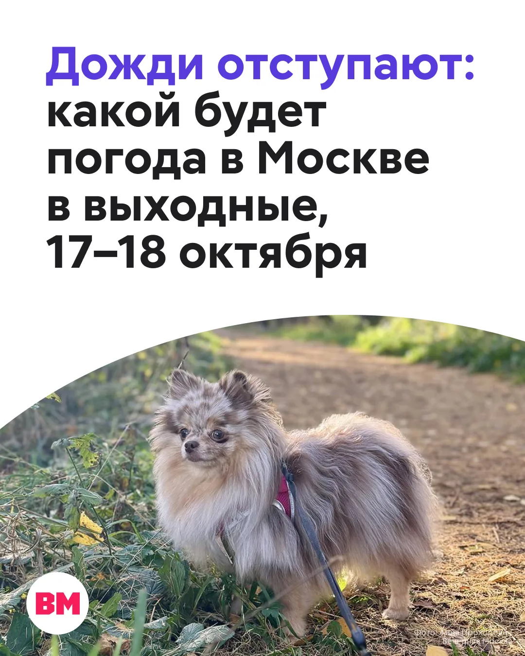 🌦️ После дождливой середины недели погода в столичном регионе порадует нас теплом и от...