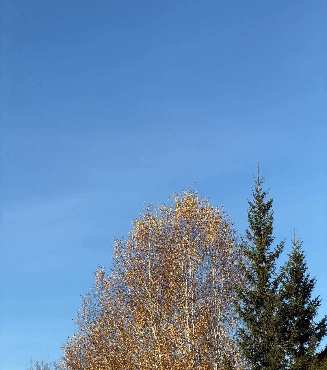 Прогноз погоды