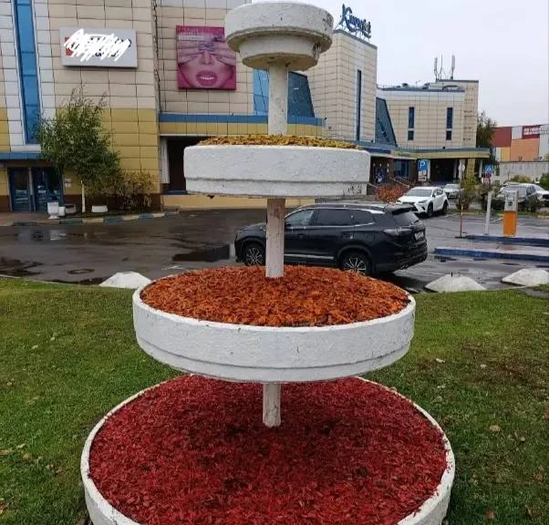 🌿 У торгового центра обновили клумбы к осени