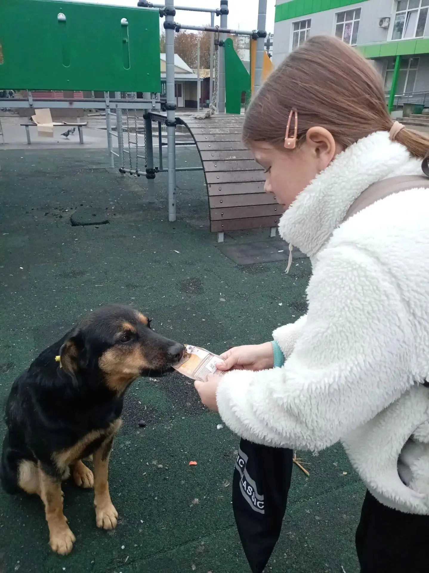 🍂 Осенняя неделя добра: делаем мир чуточку теплее! 💛