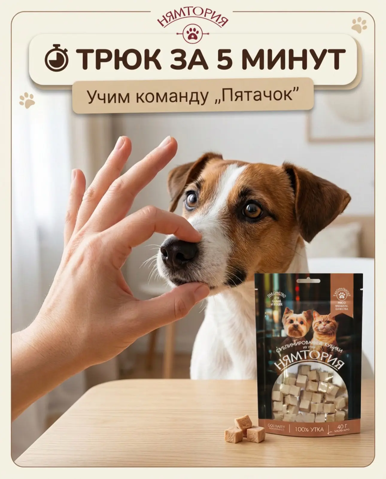 Трюк дня: учим собаку «Пятачку» 🐶