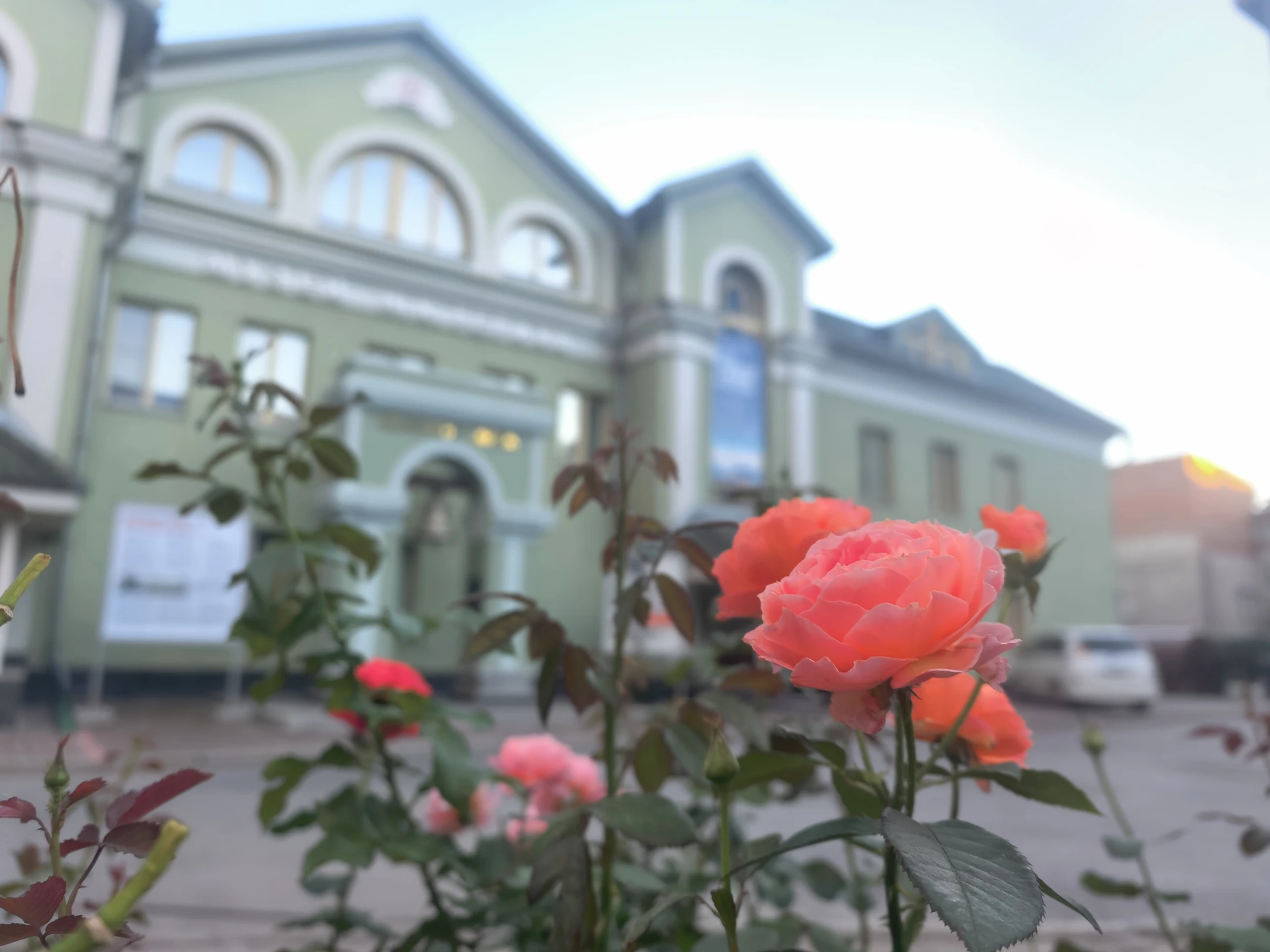 Цветы Музея 🌸🌼🌺