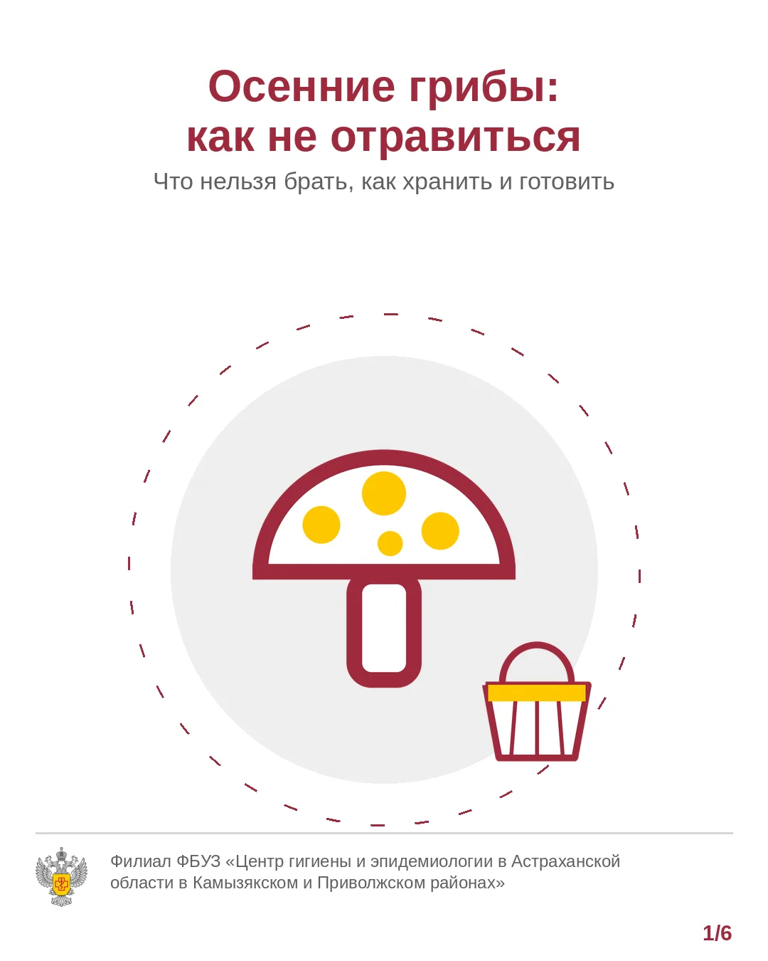 🍄 Осенние грибы: как не отравиться